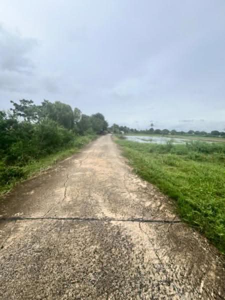 บ้านเดี่ยวกำแพงแสน นครปฐม, Nakhon Pathom, Don Khoi, Kamphaeng Saen, Nakhon Pathom, 4 Bedrooms, 150 sqm, Single Detached House For Sale, by The Best Property ลูกปลา, 500609337 - DDproperty.com