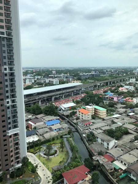Lumpini Place Srinakarin-Huamak Station : ลุมพินี เพลส ศรีนครินทร์-หัวหมาก สเตชั่น, กรุงเทพ, ถนนศรีนครินทร์, สวนหลวง, กรุงเทพ, 26 ตร.ม., คอนโด ขาย, โดย Ketkanok Sungthong, 500609360 - DDproperty.com