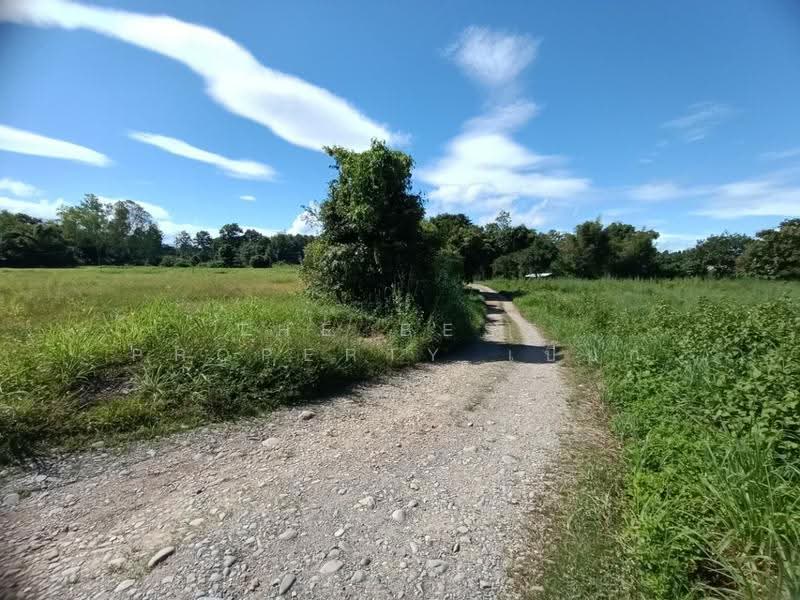 ที่ดินเชียงกลาง น่าน, Nan, Phaya Kaeo, Chiang Klang, Nan, , 29,355 sqm, Land For Sale, by The Best Property เปี๊ยก, 500609383 - DDproperty.com