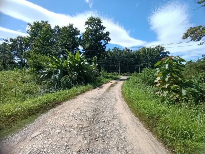 ที่ดินเชียงกลาง น่าน, Nan, Phaya Kaeo, Chiang Klang, Nan, , 29,355 sqm, Land For Sale, by The Best Property เปี๊ยก, 500609383 - DDproperty.com