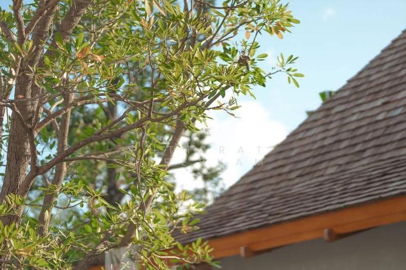 Anchan Mountain Breeze, Phuket, Thepkrasattri Road, Thep Krasattri, Thalang, Phuket, 4 Bedrooms, 548 sqm, Villa For Sale, by Puttirat Kleebyam, 500609447 - DDproperty.com