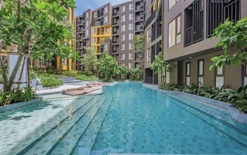 The Base Central, phuket, Chao Fah Tawan Tok Rd, Wichit, Muang Phuket, Phuket, 2 Bedrooms, 48 sqm, Condo For Rent, by Connex Property, 500609594 - DDproperty.com