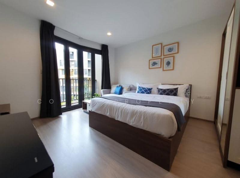 The Base Central, phuket, Chao Fah Tawan Tok Rd, Wichit, Muang Phuket, Phuket, 1 Bedroom, 28 sqm, Condo For Rent, by Connex Property, 500609610 - DDproperty.com