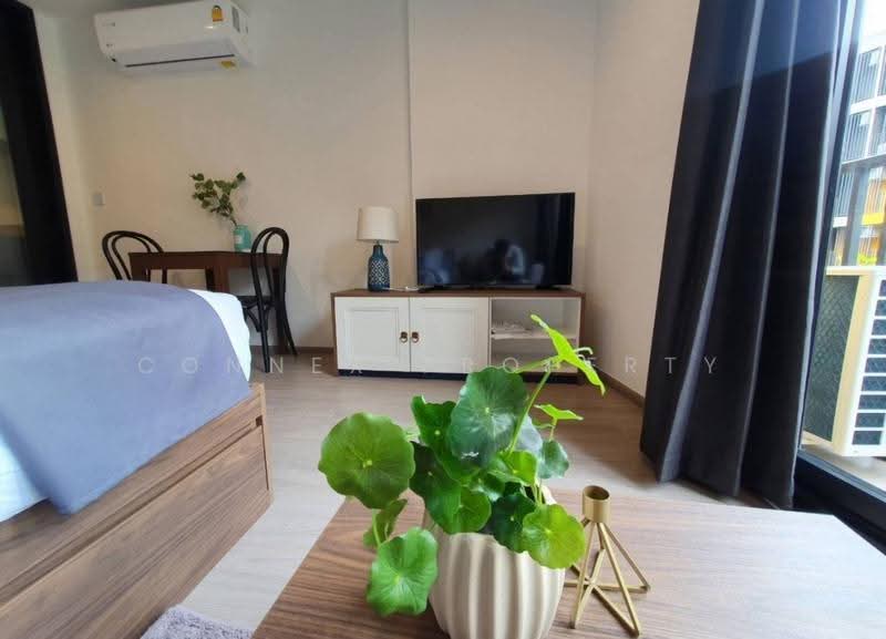 The Base Central, phuket, Chao Fah Tawan Tok Rd, Wichit, Muang Phuket, Phuket, 1 Bedroom, 28 sqm, Condo For Rent, by Connex Property, 500609610 - DDproperty.com