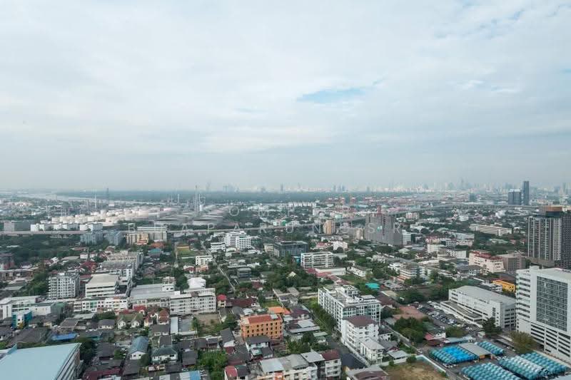 The Line Sukhumvit 101 : เดอะ ไลน์ สุขุมวิท 101, กรุงเทพ, 3009 สุขุมวิท 101, บางจาก, พระโขนง, กรุงเทพ, 33 ตร.ม., คอนโด ให้เช่า, โดย Sompob Buaparungsri, 500610186 - DDproperty.com