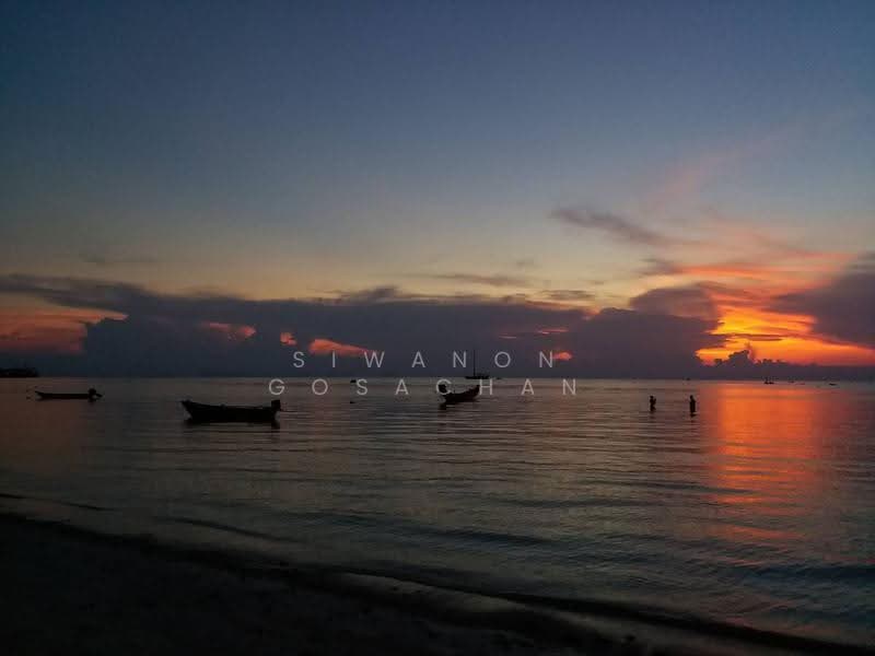 undefined, สุราษฎร์ธานี, เกาะพะงัน, สุราษฎร์ธานี, 250 ตร.ม., วิลล่า ขาย, โดย Siwanon Gosachan, 500610240 - DDproperty.com