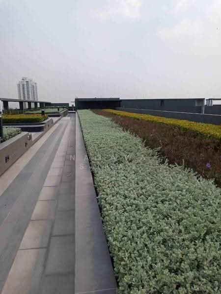 Plum Condo Pinklao Station, bangkok, Somdet Chaopraya Road, Bang Yi Khan, Bang Phlat, Bangkok, 2 Bedrooms, 50 sqm, Condo For Sale, by Najawa Salae, 500610457 - DDproperty.com