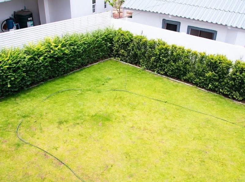 ขายบ้านพร้อมที่ดิน ใกล้ถนน วงแหวน รอบ 2, Chiang Mai, Chang Phuak, Muang Chiang Mai, Chiang Mai, 4 Bedrooms, 270 sqm, Single Detached House For Sale, by พงษ์เพชร, 500610784 - DDproperty.com
