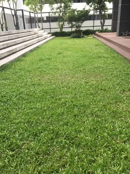 The Capital Ekamai-Thonglor, Bangkok, 2898 New Petchaburi Rd, Bang Kapi, Huai Khwang, Bangkok, 1 Bedroom, 37 sqm, Condo For Sale, by คุณอิ๋ว, 500611162 - DDproperty.com