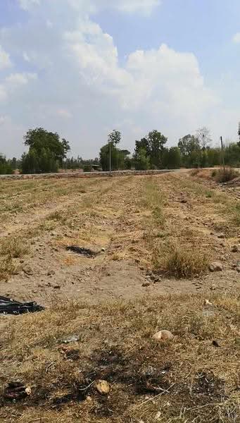 หนองหญ้าไซ, สุพรรณบุรี, หนองราชวัตร, หนองหญ้าไทร, สุพรรณบุรี, 1,600 ตร.ม., ที่ดิน ขาย, โดย คุณแตง วิริยาพันธ์, 500611601 - DDproperty.com
