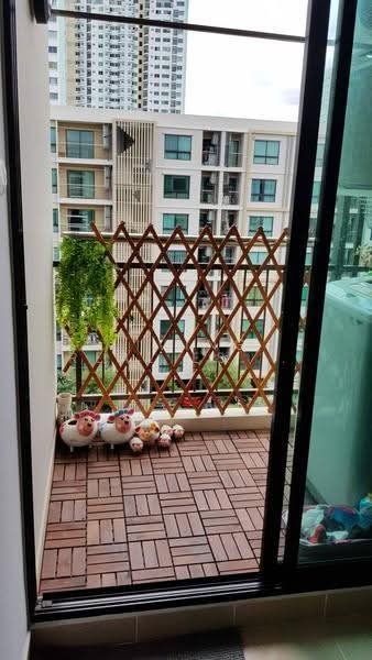Supalai Cute Ratchayothin-Phaholyothin 34, Bangkok, Paholayothin Road, Sena Nikhom, Chatuchak, Bangkok, 1 Bedroom, 41 sqm, Condo For Rent, by Living Real Estates, 500611658 - DDproperty.com