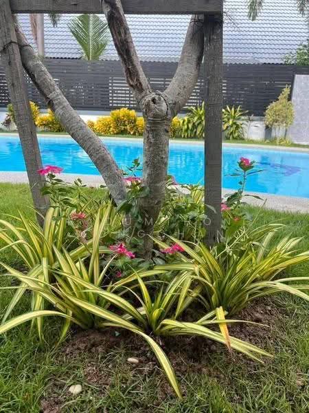 5-BR House, chon-buri, Poong, Bang Lamung (Pattaya), Chon Buri (Pattaya), 5 Bedrooms, 495 sqm, Single Detached House For Rent, by Kradumthong Wongchan, 500611682 - DDproperty.com