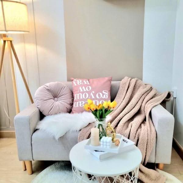 MY Condo Sukhumvit 52, Bangkok, Sukhumvit 52 Road, Bang Chak, Phra Khanong, Bangkok, 1 Bedroom, 25 sqm, Condo For Rent, by Connex Property, 500612279 - DDproperty.com