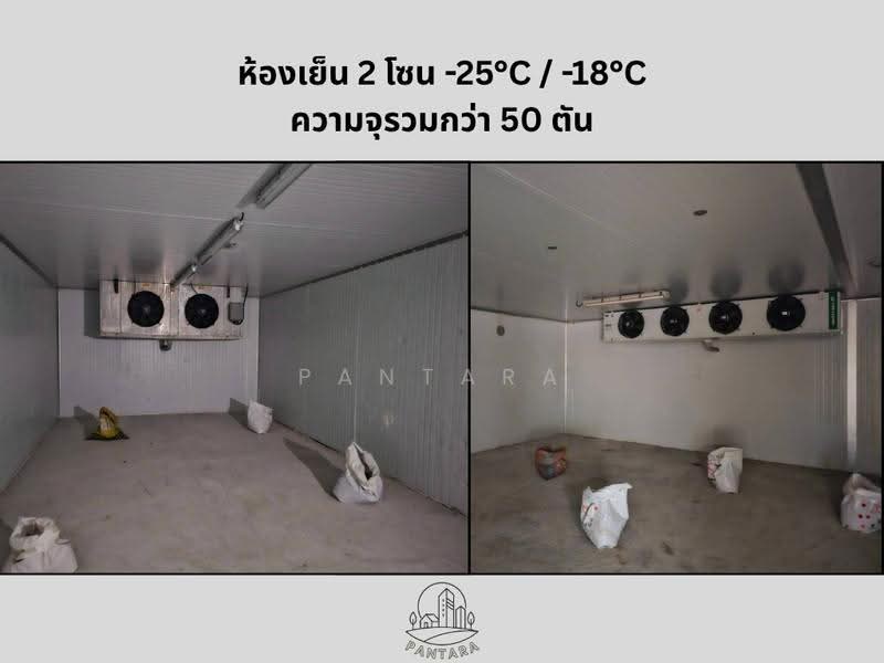 บ้านฉาง, ระยอง, ถนนรวมมิตร-เขาภูดร, บ้านฉาง, ระยอง, 1,850 ตร.ม., โกดัง-โรงงาน ขาย, โดย PANTARA, 500612487 - DDproperty.com