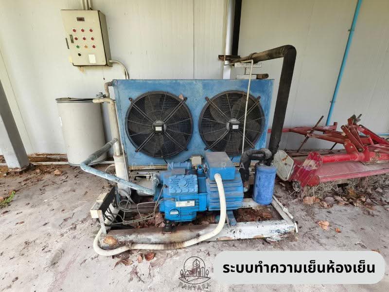 Ban Chang, Rayong, rayong, ถนนรวมมิตร-เขาภูดร, Ban Zhang, Ban Chang, Rayong, , 1,850 sqm, Warehouse/Factory For Sale, by PANTARA, 500612487 - DDproperty.com