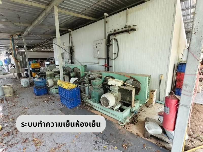 บ้านฉาง, ระยอง, ถนนรวมมิตร-เขาภูดร, บ้านฉาง, ระยอง, 1,850 ตร.ม., โกดัง-โรงงาน ขาย, โดย PANTARA, 500612487 - DDproperty.com