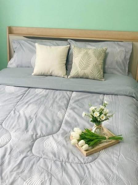 Dcondo Kathu-Patong, Phuket, Wichit Songkhram Road, Kathu, Phuket, 1 Bedroom, 30 sqm, Condo For Rent, by Connex Property, 500612787 - DDproperty.com