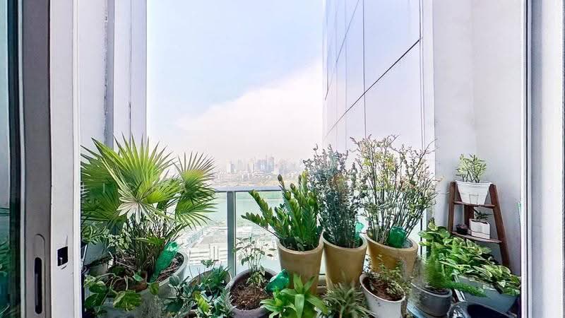 Millennium Residence, Bangkok, Sukhumvit Road, Khlong Toei, Bangkok, 4 Bedrooms, 255 sqm, Condo For Sale, by Nicha Na Lampang, 500612878 - DDproperty.com