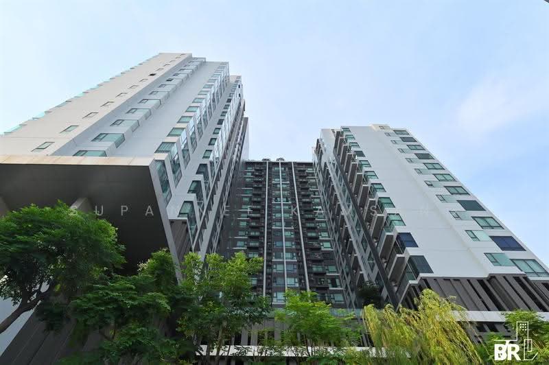 Rhythm Sukhumvit 36-38, Bangkok, 55 Soi Sukhumvit 36, Sukhumvit Road, Phra Kanong, Khlong Toei, Bangkok, 1 Bedroom, 33 sqm, Condo For Sale, by Supannee Kamsang, 500613126 - DDproperty.com