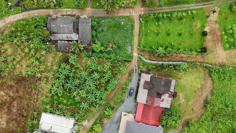 ที่ดินวังกระแจะ ตราด, ตราด, วังกระแจะ, เมืองตราด, ตราด, 1,734 ตร.ม., ที่ดิน ขาย, โดย The Best Property ต้น, 500613127 - DDproperty.com