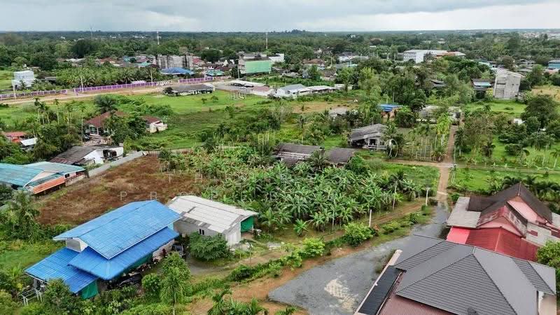 ที่ดินวังกระแจะ ตราด, ตราด, วังกระแจะ, เมืองตราด, ตราด, 1,734 ตร.ม., ที่ดิน ขาย, โดย The Best Property ต้น, 500613127 - DDproperty.com