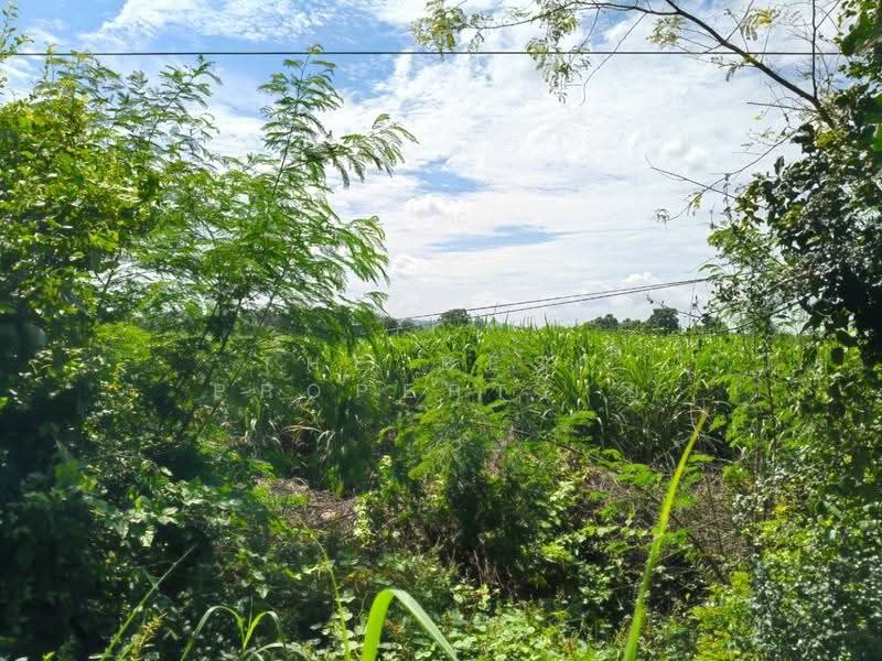 ที่ดินประโคนชัย บุรีรัมย์, Buri Ram, Chorakhe Mak, Prakhon Chai, Buri Ram, , 35,156 sqm, Land For Sale, by The Best Property ยุ, 500613210 - DDproperty.com