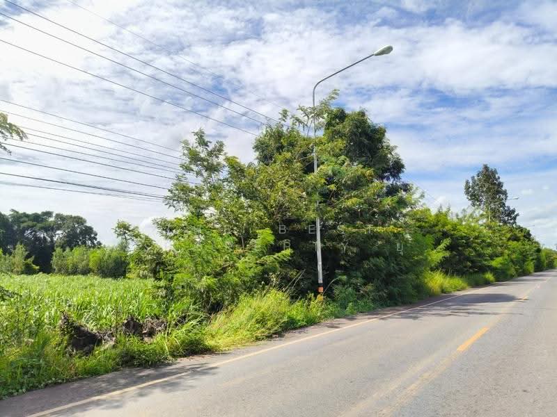 ที่ดินประโคนชัย บุรีรัมย์, Buri Ram, Chorakhe Mak, Prakhon Chai, Buri Ram, , 35,156 sqm, Land For Sale, by The Best Property ยุ, 500613210 - DDproperty.com