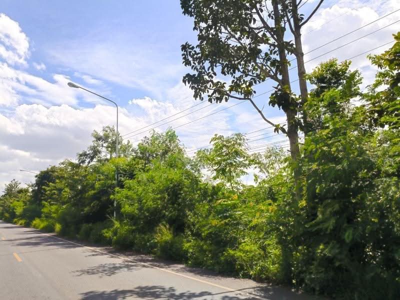 ที่ดินประโคนชัย บุรีรัมย์, บุรีรัมย์, จรเข้มาก, ประโคนชัย, บุรีรัมย์, 35,156 ตร.ม., ที่ดิน ขาย, โดย The Best Property ยุ, 500613210 - DDproperty.com