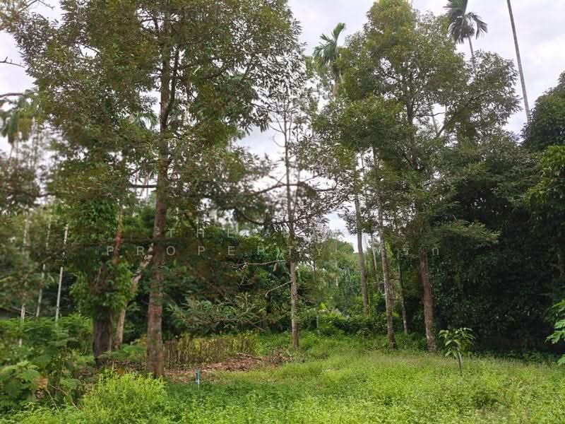 บ้านเดี่ยวพร้อมที่ดินนบพิตำ นครศรีธรรมราช, Nakhon Si Thammarat, Karo, Nophi Tam, Nakhon Si Thammarat, 2 Bedrooms, 150 sqm, Single Detached House For Sale, by The Best Property พริก, 500613393 - DDproperty.com