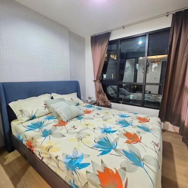 Centrio Condominium, Phuket, Wichit Songkhram, Kathu, Phuket, 1 Bedroom, 31 sqm, Condo For Rent, by Connex Property, 500613404 - DDproperty.com