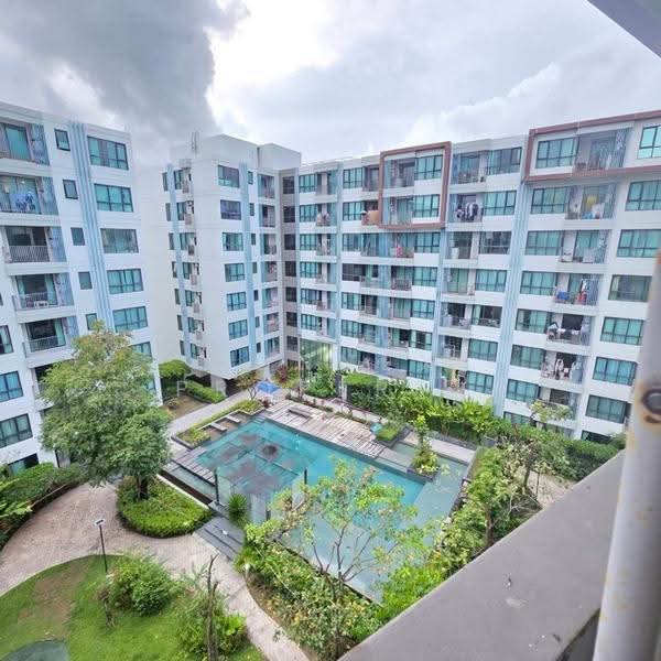 Centrio Condominium, Phuket, Wichit Songkhram, Kathu, Phuket, 1 Bedroom, 31 sqm, Condo For Rent, by Connex Property, 500613404 - DDproperty.com