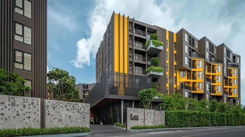 The Base Central : เดอะ เบส เซ็นทรัล ภูเก็ต, ภูเก็ต, ถนน เจ้าฟ้าตะวันตก, วิชิต, เมืองภูเก็ต, ภูเก็ต, 28 ตร.ม., คอนโด ให้เช่า, โดย Mei Mei Prime, 500613455 - DDproperty.com