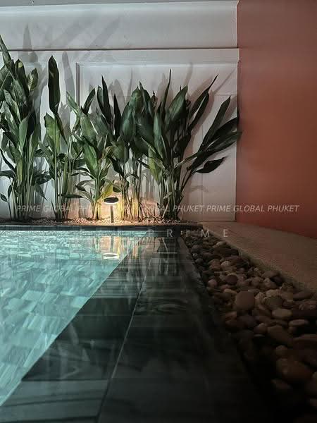 บ้าน ฉลอง ภูเก็ต : House at Chalong Phuket, ภูเก็ต, ฉลอง, เมืองภูเก็ต, ภูเก็ต, 240 ตร.ม., บ้านแฝด ให้เช่า, โดย fai prime, 500613457 - DDproperty.com