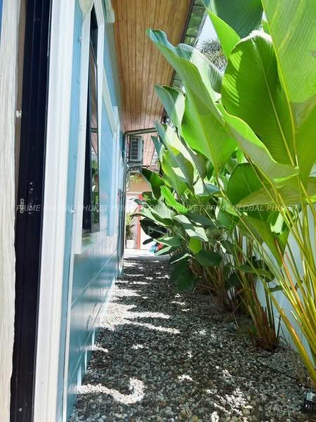 บ้าน ฉลอง ภูเก็ต : House at Chalong Phuket, ภูเก็ต, ฉลอง, เมืองภูเก็ต, ภูเก็ต, 240 ตร.ม., บ้านแฝด ให้เช่า, โดย fai prime, 500613457 - DDproperty.com