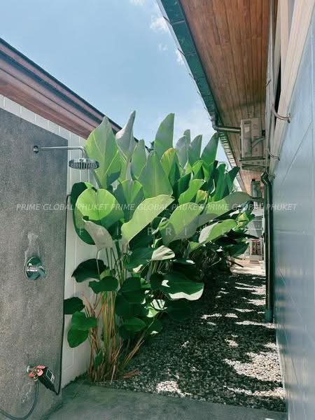 บ้าน ฉลอง ภูเก็ต : House at Chalong Phuket, ภูเก็ต, ฉลอง, เมืองภูเก็ต, ภูเก็ต, 240 ตร.ม., บ้านแฝด ให้เช่า, โดย fai prime, 500613457 - DDproperty.com