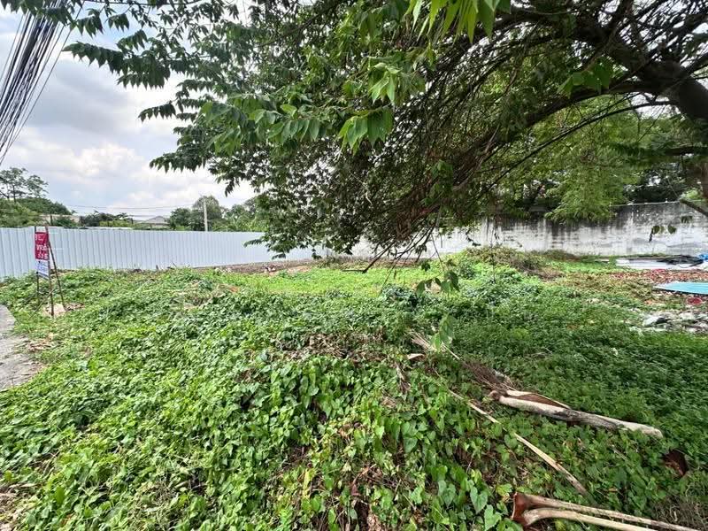 ที่ดินบางเขน กรุงเทพมหานคร, Bangkok, Tha Rang, Bang Khen, Bangkok, , 380 sqm, Land For Sale, by The Best Property ปิ่น, 500613528 - DDproperty.com