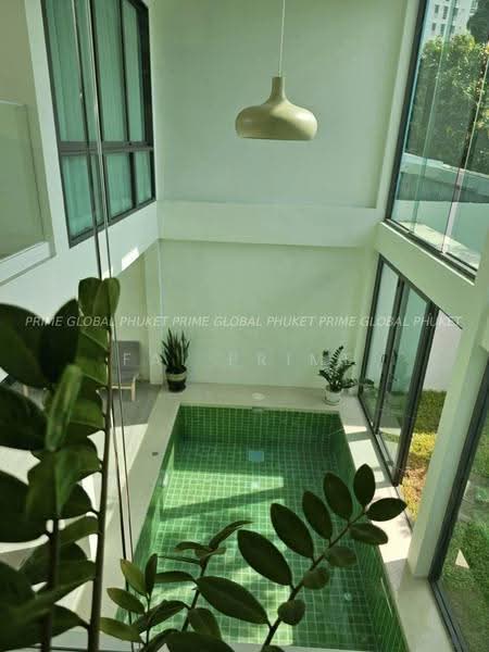 V9CG+JVC Phuket, Mueang Phuket District, Phuket, ภูเก็ต, ฉลอง, เมืองภูเก็ต, ภูเก็ต, 305 ตร.ม., บ้านเดี่ยว ให้เช่า, โดย fai prime, 500613673 - DDproperty.com