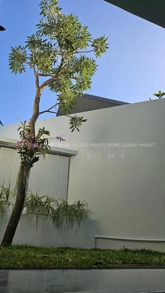 chalong, Phuket, Chalong, Muang Phuket, Phuket, 3 Bedrooms, 305 sqm, Single Detached House For Rent, by fai prime, 500613673 - DDproperty.com