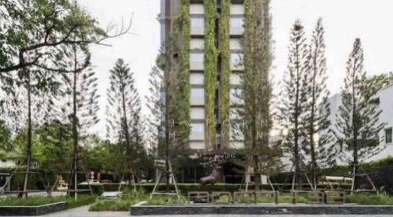 IDEO Morph 38, Bangkok, 88 Sukhumvit Road, Phra Kanong, Khlong Toei, Bangkok, 1 Bedroom, 36 sqm, Condo For Rent, by Dechatorn Chichaiyang, 500614164 - DDproperty.com