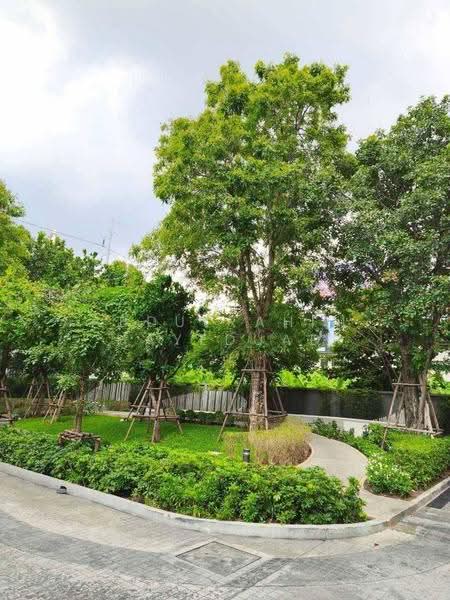 Cloud Thonglor-Phetchaburi : คลาวด์ ทองหล่อ-เพชรบุรี, กรุงเทพ, 1986 ถ.เพชรบุรีตัดใหม่, บางกะปิ, ห้วยขวาง, กรุงเทพ, 32 ตร.ม., คอนโด ให้เช่า, โดย Abdulrahim Hayeduad, 500614170 - DDproperty.com