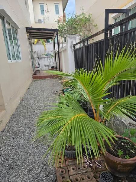 Detached house for rent in Bowin - Thada Park Eastern Seaboard., Chon Buri (Pattaya), Bo Win, Si Racha, Chon Buri (Pattaya), 3 Bedrooms, 240 sqm, Single Detached House For Rent, by A House Property Co.,Ltd., 500614447 - DDproperty.com