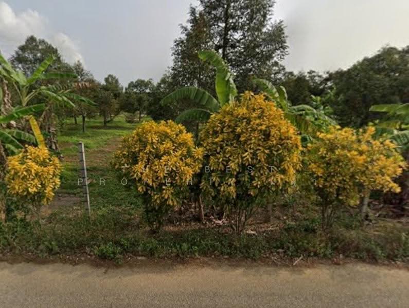 ที่ดินแกลง ระยอง, ระยอง, แกลง, เมืองระยอง, ระยอง, 800 ตร.ม., ที่ดิน ขาย, โดย The Best Property นฐา, 500614671 - DDproperty.com