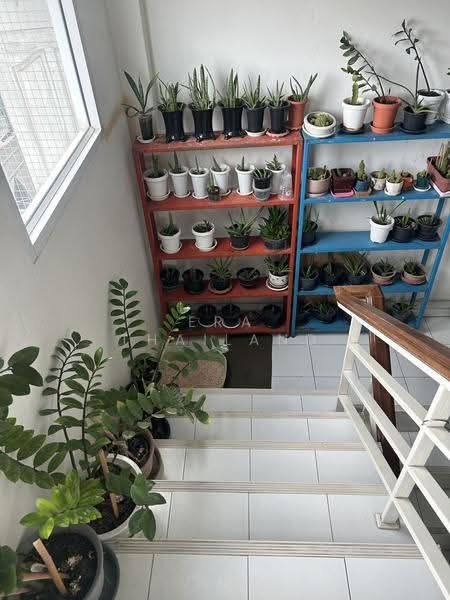 ขายอาคารพาณิชย์ 4 ชั้น 5 ห้องนอน 3 ห้องน้ำ 2 ห้องโถง 1 ห้องทำงาน 1 ห้องสมุด 1 ห้องรับแขก 1 ห้องครัว, พระนครศรีอยุธยา, ธนู, อุทัย, พระนครศรีอยุธยา, 640 ตร.ม., ตึกแถว-อาคารพาณิชย์ ขาย, โดย ERA Thailand, 500614736 - DDproperty.com