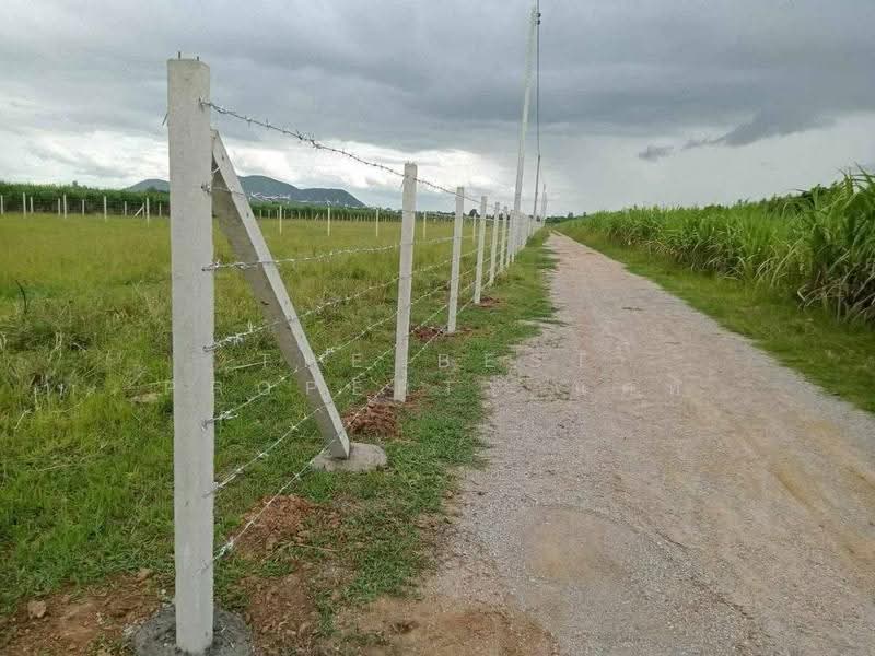 ที่ดินโพธาราม ราชบุรี, Ratchaburi, Tao Pun, Photharam, Ratchaburi, , 1,600 sqm, Land For Sale, by The Best Property แคท, 500614889 - DDproperty.com