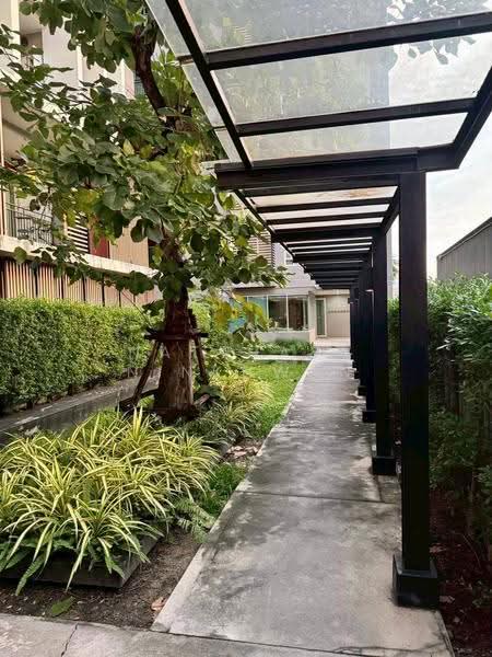 CHAMBERS รามอินทรา (แชมเบอร์ส รามอินทรา), กรุงเทพ, 66 Ratchada-Ramintra, คันนายาว, กรุงเทพ, 83 ตร.ม., คอนโด ขาย, โดย Natthaya Ninkhwan, 500615133 - DDproperty.com