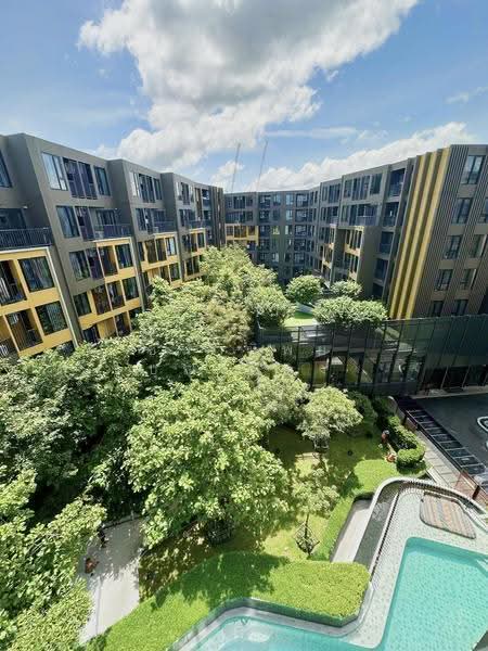 The Base Central, Phuket, Chao Fah Tawan Tok Rd, Wichit, Muang Phuket, Phuket, Studio, 28 sqm, Condo For Rent, by Chanatip Boonmuang, 500615439 - DDproperty.com