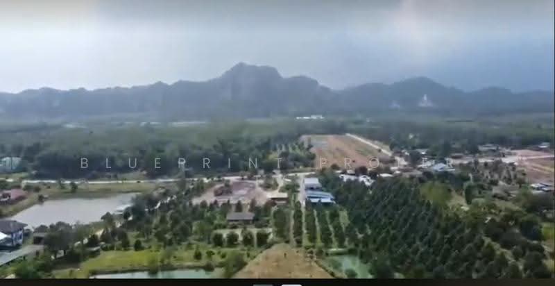 ที่ดิน 10 ไร่ จันทบุรี, Chanthaburi, Khao Wongkot, Kaeng Hang Maeo, Chanthaburi, , 16,000 sqm, Land For Sale, by Blueprint.Property, 500615657 - DDproperty.com