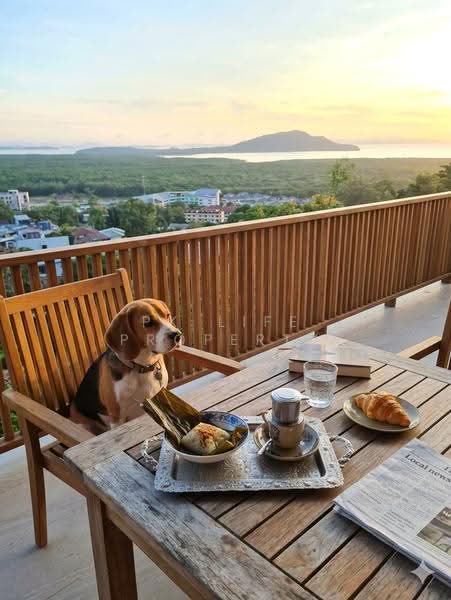 10R0553 Pool villa for rent 3 bedroom 4 bathroom 120,000/month at muang have fully furnished, Phuket, Ratsada, Muang Phuket, Phuket, 3 Bedrooms, 460 sqm, Villa For Rent, by PK LIFE Property, 500615751 - DDproperty.com