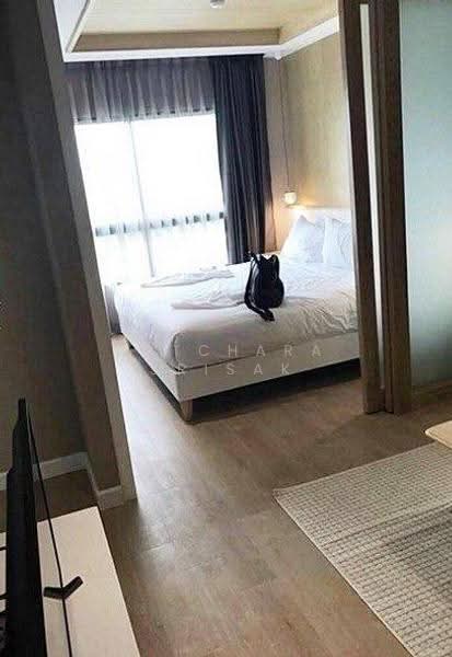 Maysa Condo, Prachuap Khiri Khan, Hua Hin, Prachuap Khiri Khan, 1 Bedroom, 31 sqm, Condo For Sale, by Patchara Srisak, 500615804 - DDproperty.com