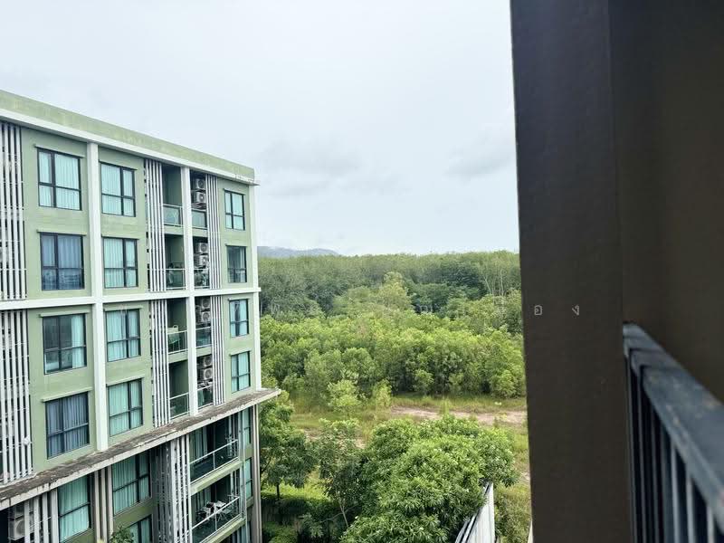 Zcape 3, Phuket, Thep Krasattri Road, Wichit, Muang Phuket, Phuket, Studio, 28 sqm, Condo For Rent, by Chanatip Boonmuang, 500615943 - DDproperty.com